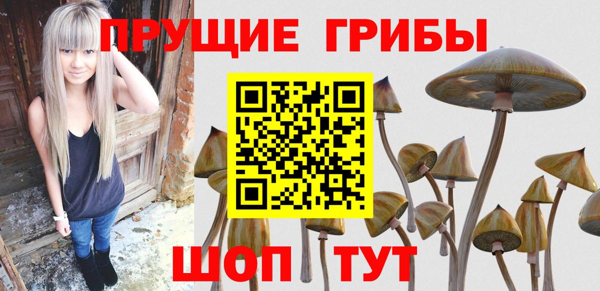 Галлюциногенные грибы ЛСД Надым
